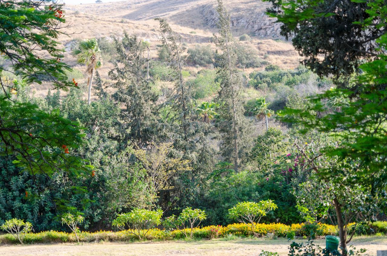 Bait Alfa Kibbutz Country Lodging Bet Alfa Δωμάτιο φωτογραφία
